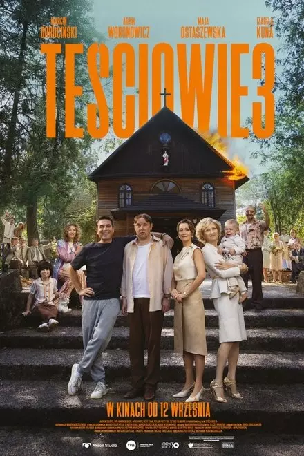 The In-Laws 3